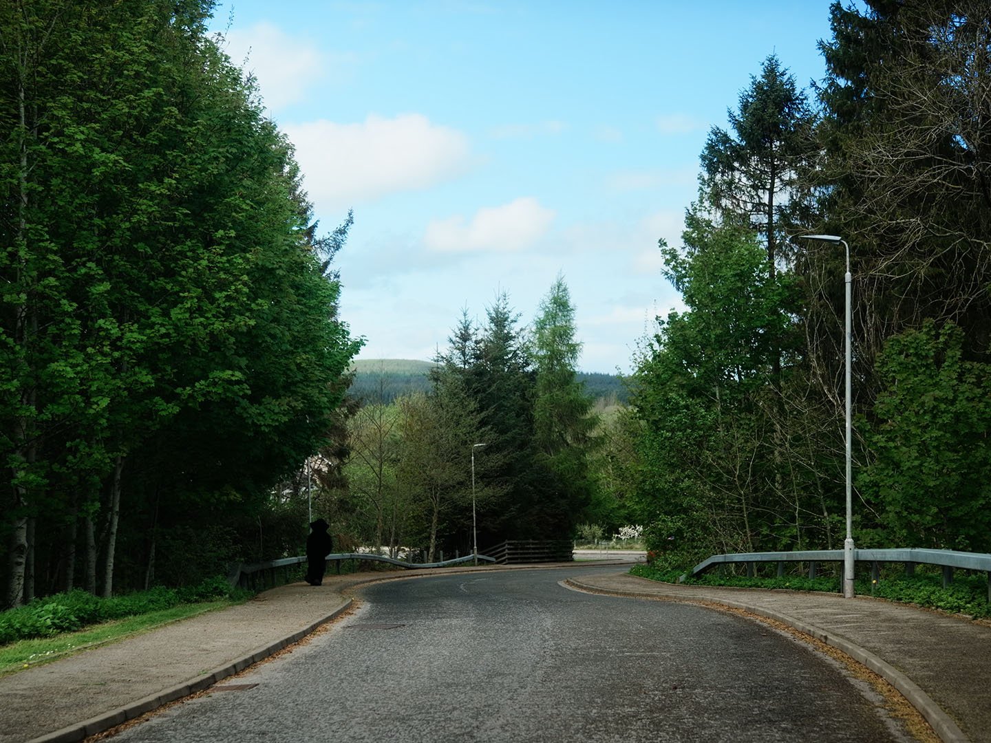 Film still: the Monster walks alone along a curving tree-lined road towards distant hills