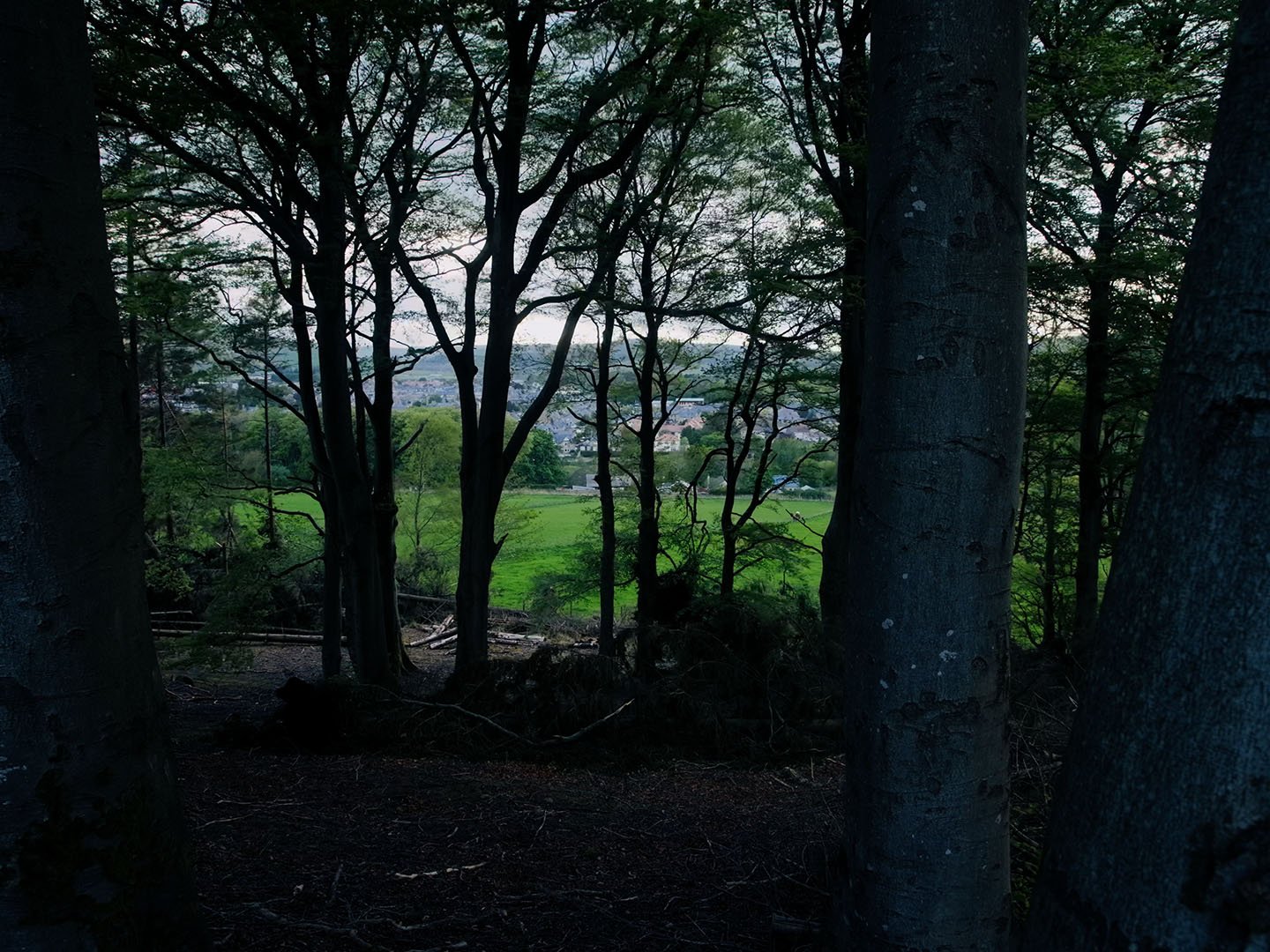 Film still: view through dark woodland trees onto green fields and the town of Huntly below